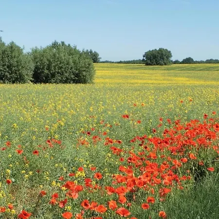 Altes Zollhaus, Fewo- Nr 4 Appartamento