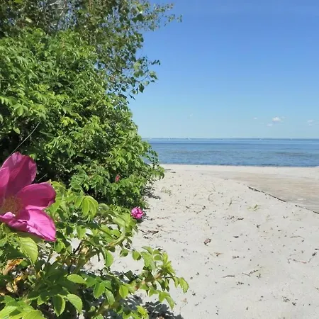 Altes Zollhaus, Fewo- Nr 4 Barendorf (Mecklenburg-Vorpommern)